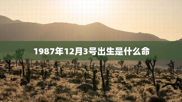 1987年12月3号出生是什么命
