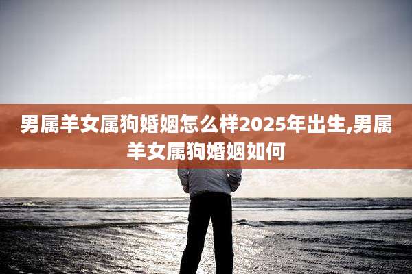 男属羊女属狗婚姻怎么样2025年出生,男属羊女属狗婚姻如何