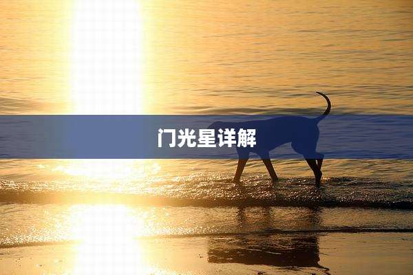 门光星详解