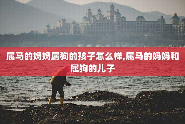 属马的妈妈属狗的孩子怎么样,属马的妈妈和属狗的儿子
