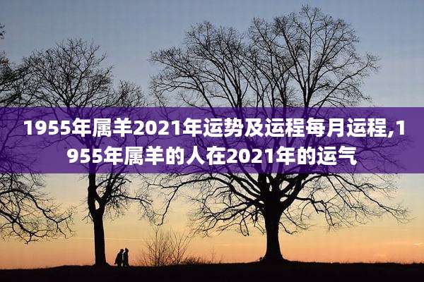 1955年属羊2021年运势及运程每月运程,1955年属羊的人在2021年的运气