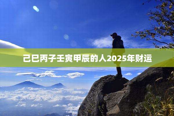 己巳丙子壬寅甲辰的人2025年财运