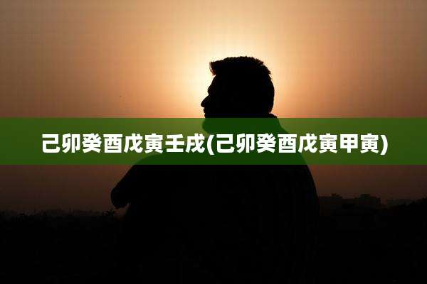 己卯癸酉戊寅壬戌(己卯癸酉戊寅甲寅)