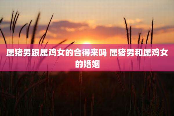 属猪男跟属鸡女的合得来吗 属猪男和属鸡女的婚姻