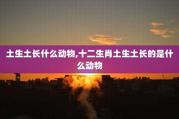 土生土长什么动物,十二生肖土生土长的是什么动物