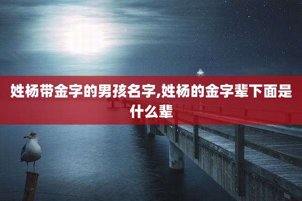 姓杨带金字的男孩名字,姓杨的金字辈下面是什么辈