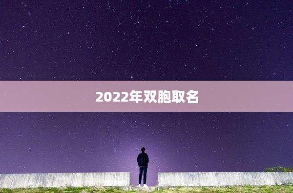 2022年双胞取名