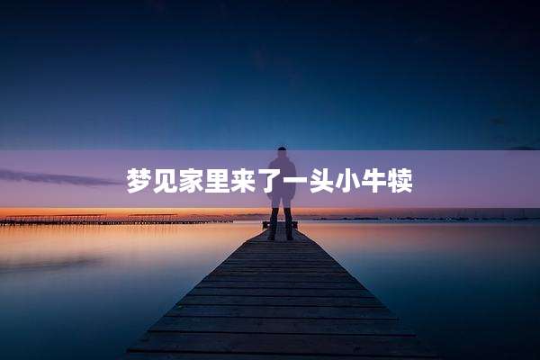 梦见家里来了一头小牛犊