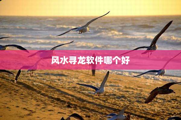 风水寻龙软件哪个好