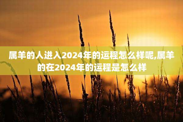 属羊的人进入2024年的运程怎么样呢,属羊的在2024年的运程是怎么样