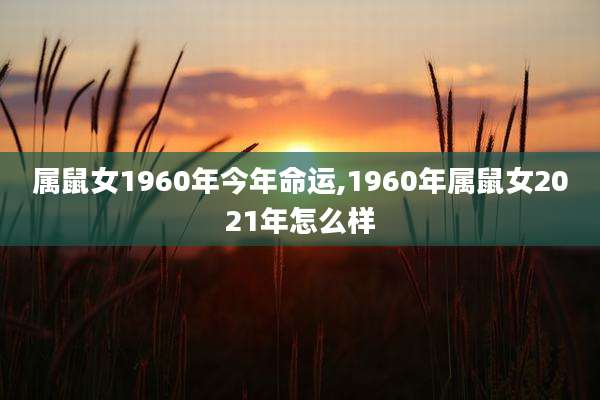属鼠女1960年今年命运,1960年属鼠女2021年怎么样