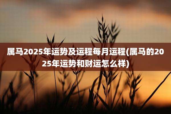 属马2025年运势及运程每月运程(属马的2025年运势和财运怎么样)