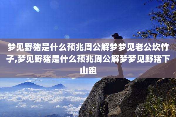 梦见野猪是什么预兆周公解梦梦见老公坎竹子,梦见野猪是什么预兆周公解梦梦见野猪下山跑