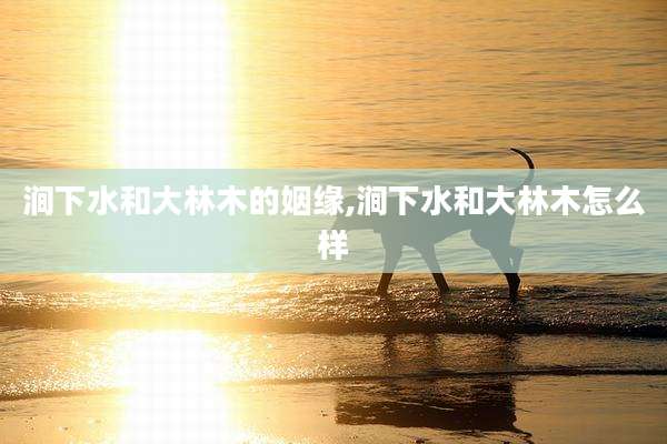 涧下水和大林木的姻缘,涧下水和大林木怎么样