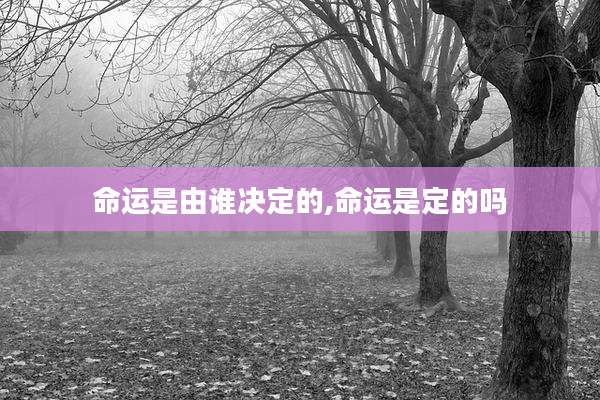 命运是由谁决定的,命运是定的吗