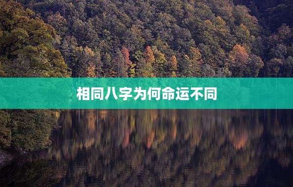 相同八字为何命运不同