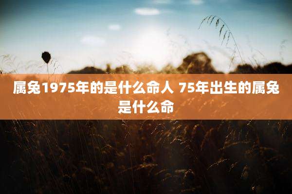属兔1975年的是什么命人 75年出生的属兔是什么命