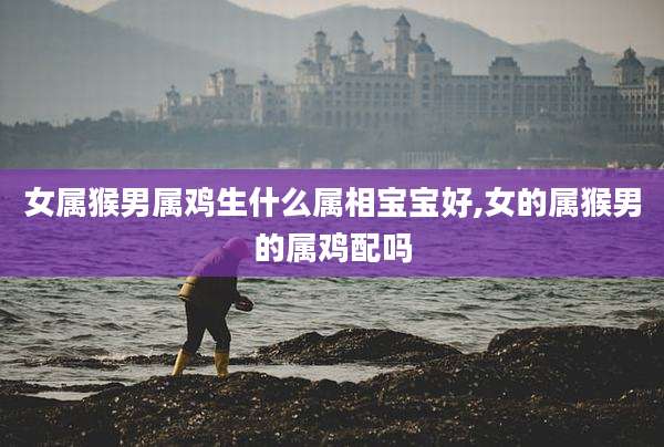 女属猴男属鸡生什么属相宝宝好,女的属猴男的属鸡配吗