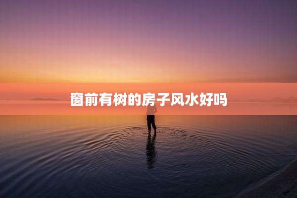 窗前有树的房子风水好吗