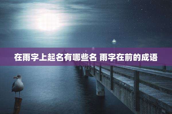 在雨字上起名有哪些名 雨字在前的成语