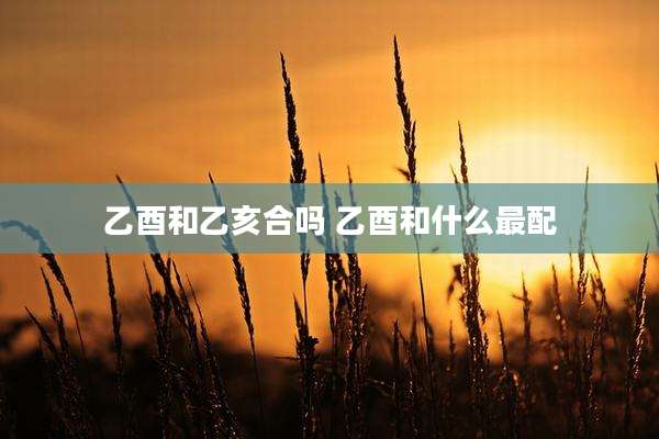 乙酉和乙亥合吗 乙酉和什么最配