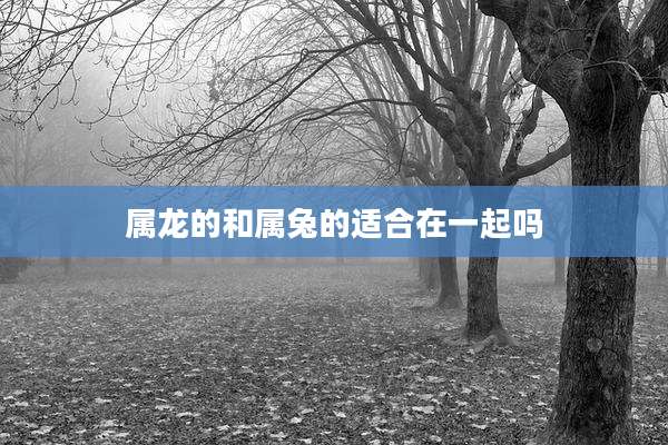 属龙的和属兔的适合在一起吗