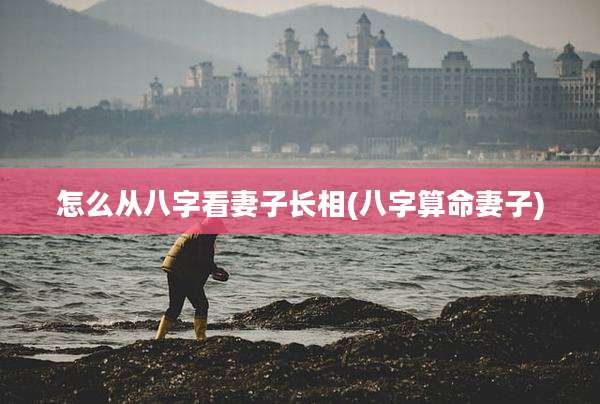 怎么从八字看妻子长相(八字算命妻子)
