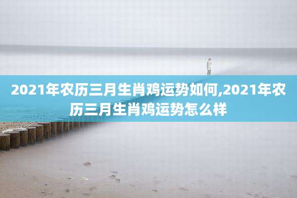 2021年农历三月生肖鸡运势如何,2021年农历三月生肖鸡运势怎么样