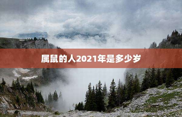 属鼠的人2021年是多少岁
