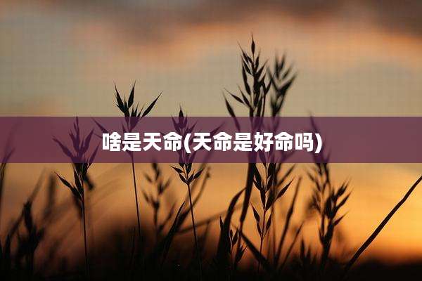 啥是天命(天命是好命吗)
