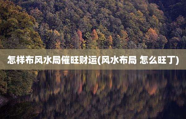 怎样布风水局催旺财运(风水布局 怎么旺丁)