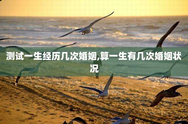 测试一生经历几次婚姻,算一生有几次婚姻状况