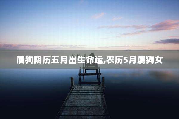 属狗阴历五月出生命运,农历5月属狗女
