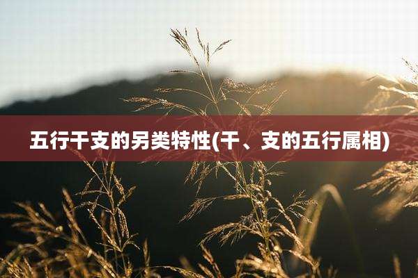 五行干支的另类特性(干、支的五行属相)