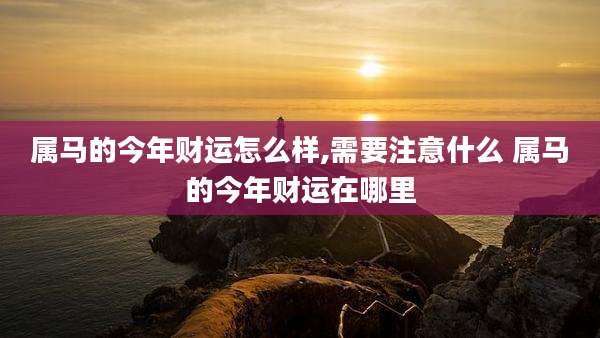 属马的今年财运怎么样,需要注意什么 属马的今年财运在哪里