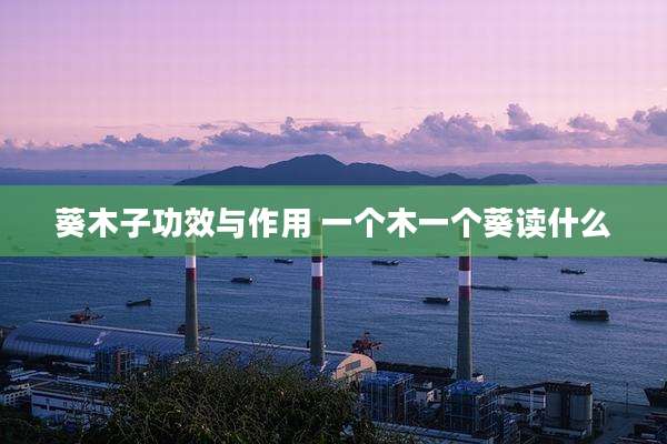 葵木子功效与作用 一个木一个葵读什么