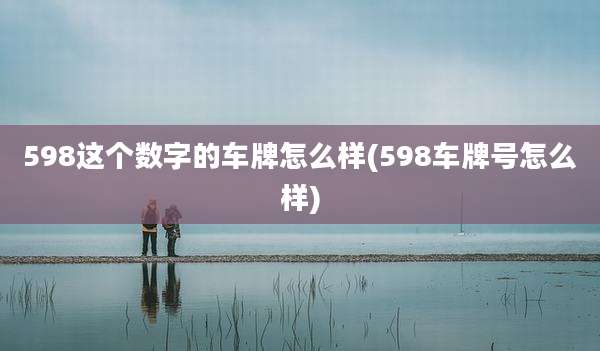598这个数字的车牌怎么样(598车牌号怎么样)