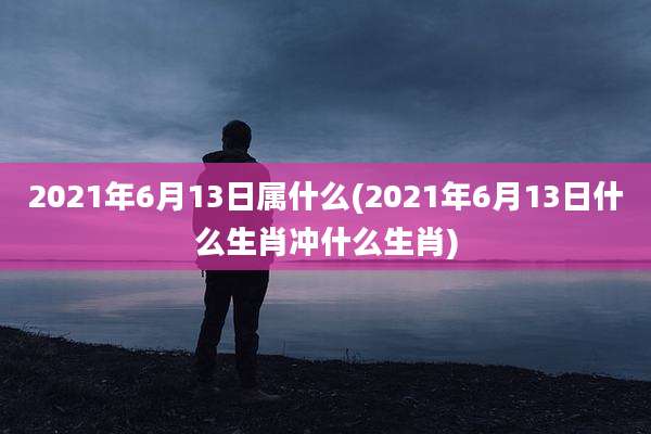 2021年6月13日属什么(2021年6月13日什么生肖冲什么生肖)