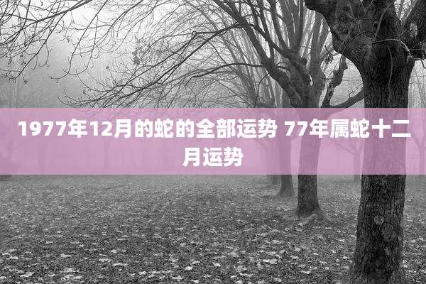 1977年12月的蛇的全部运势 77年属蛇十二月运势