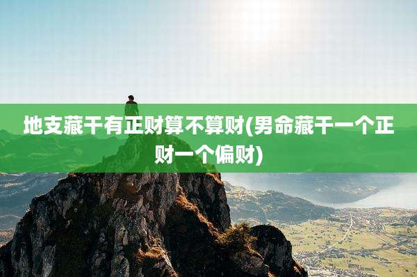 地支藏干有正财算不算财(男命藏干一个正财一个偏财)
