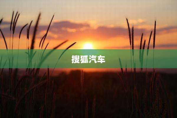 搜狐汽车