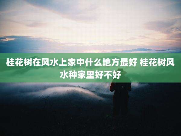 桂花树在风水上家中什么地方最好 桂花树风水种家里好不好