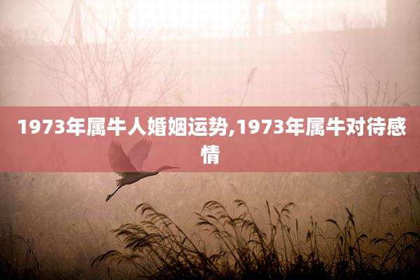 1973年属牛人婚姻运势,1973年属牛对待感情