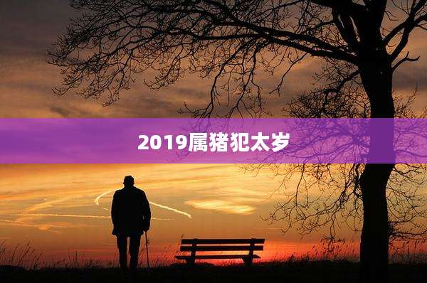 2019属猪犯太岁