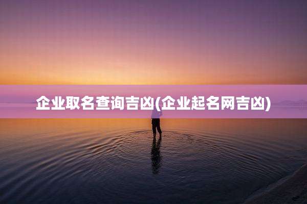 企业取名查询吉凶(企业起名网吉凶)