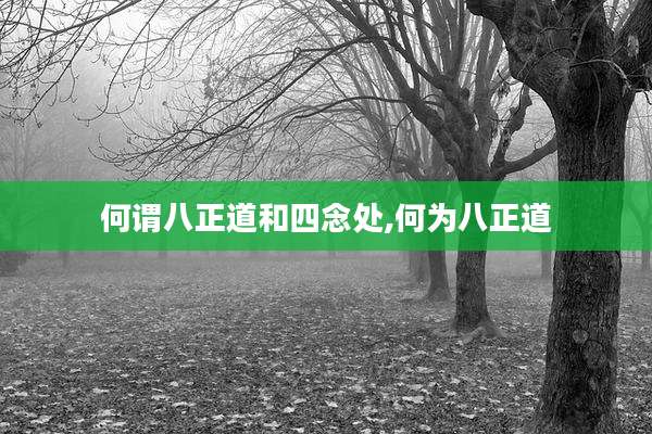 何谓八正道和四念处,何为八正道