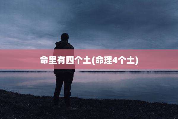 命里有四个土(命理4个土)