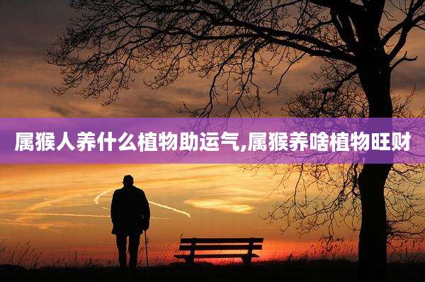 属猴人养什么植物助运气,属猴养啥植物旺财