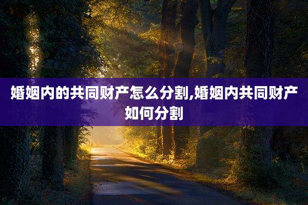 婚姻内的共同财产怎么分割,婚姻内共同财产如何分割