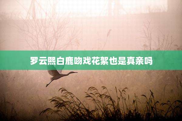 罗云熙白鹿吻戏花絮也是真亲吗